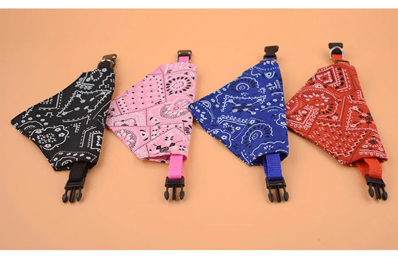 Cera scarf