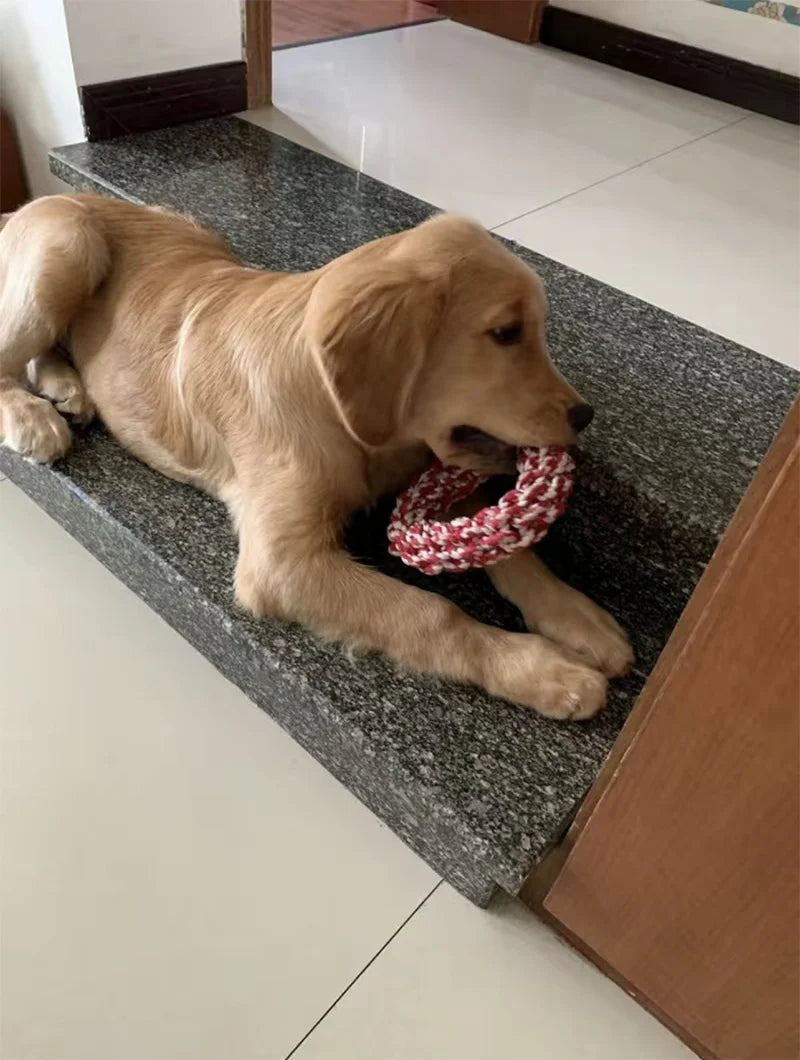 Round Rope Toy