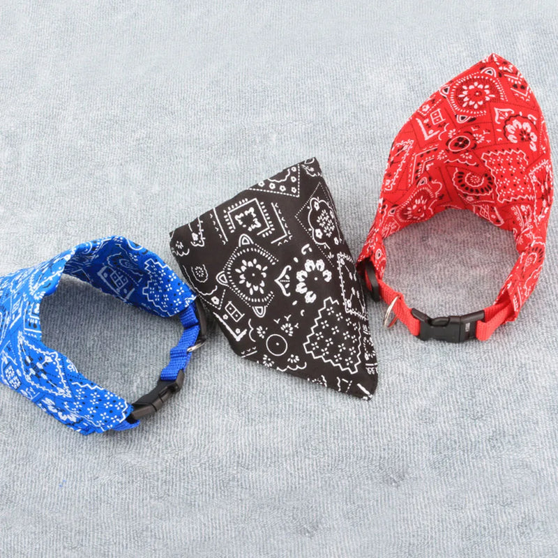 Cera scarf