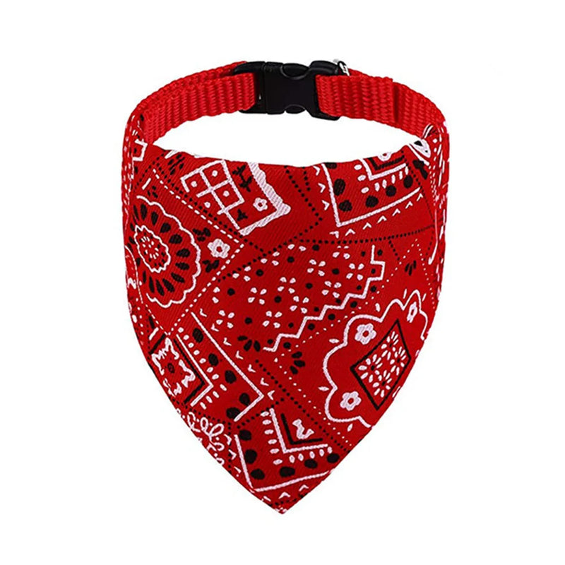 Cera scarf