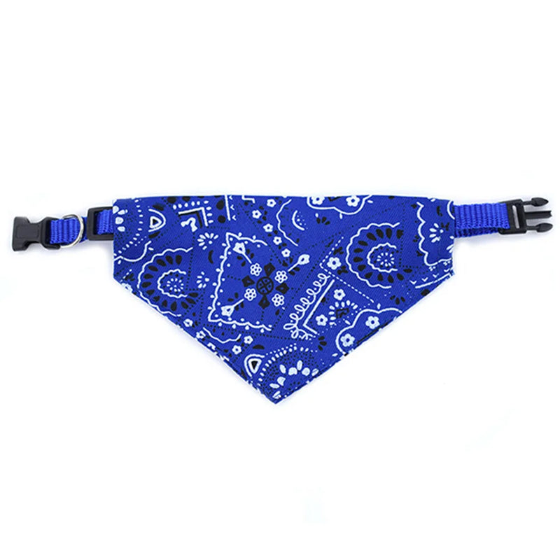 Cera scarf