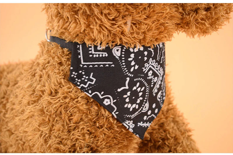 Cera scarf