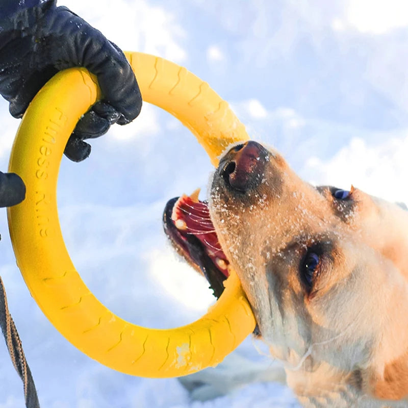 Bite Resistant Pet Chew Toy
