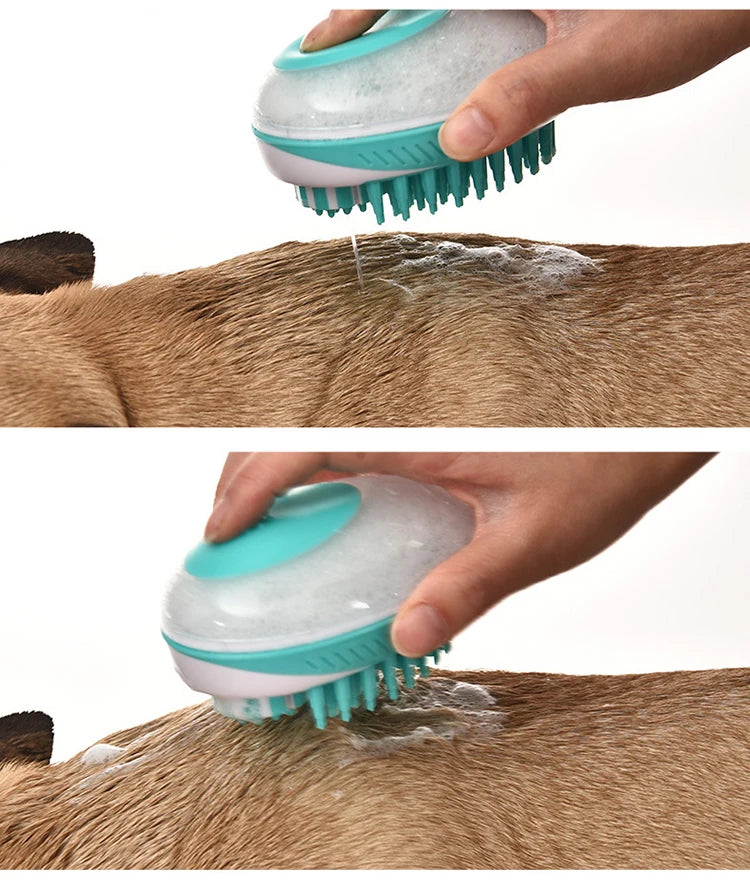 Bath Brush & Massage