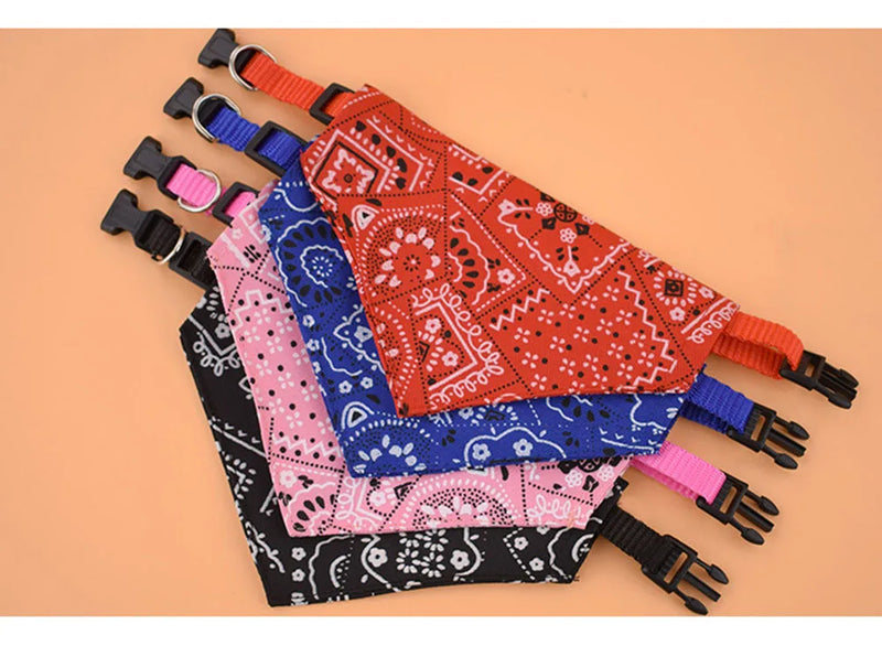 Cera scarf