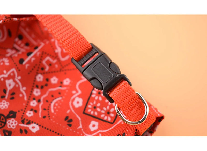 Cera scarf