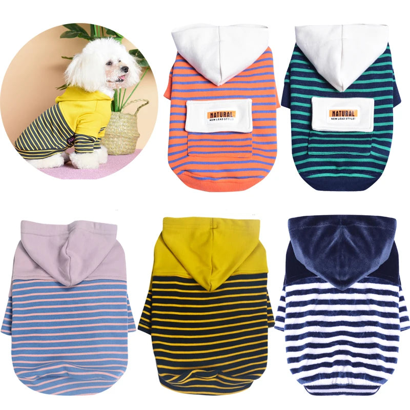 Stripe Puppy Sweatshirt