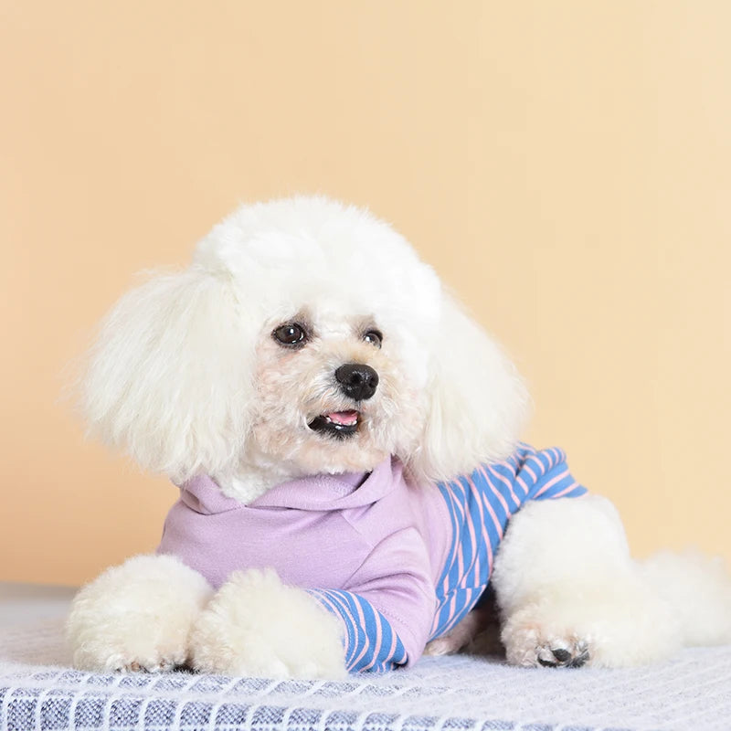 Stripe Puppy Sweatshirt