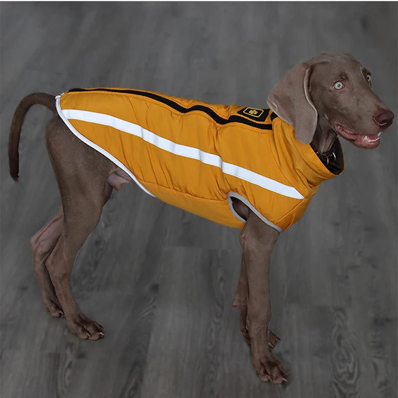 Reflective Jacket