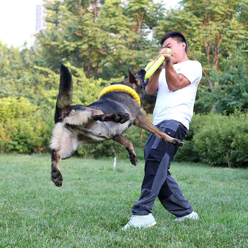 Bite Resistant Pet Chew Toy