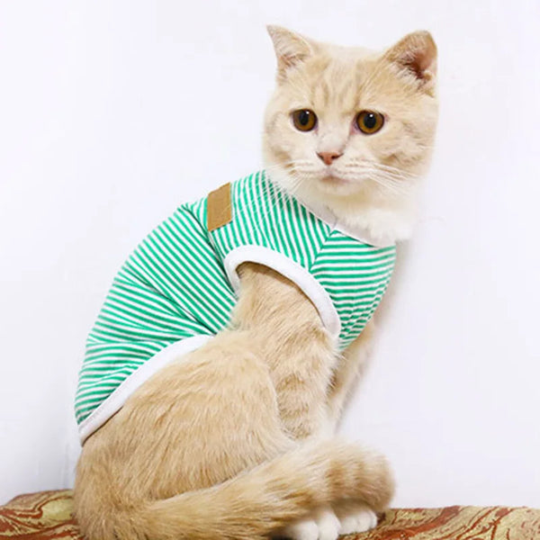 Gira shirt