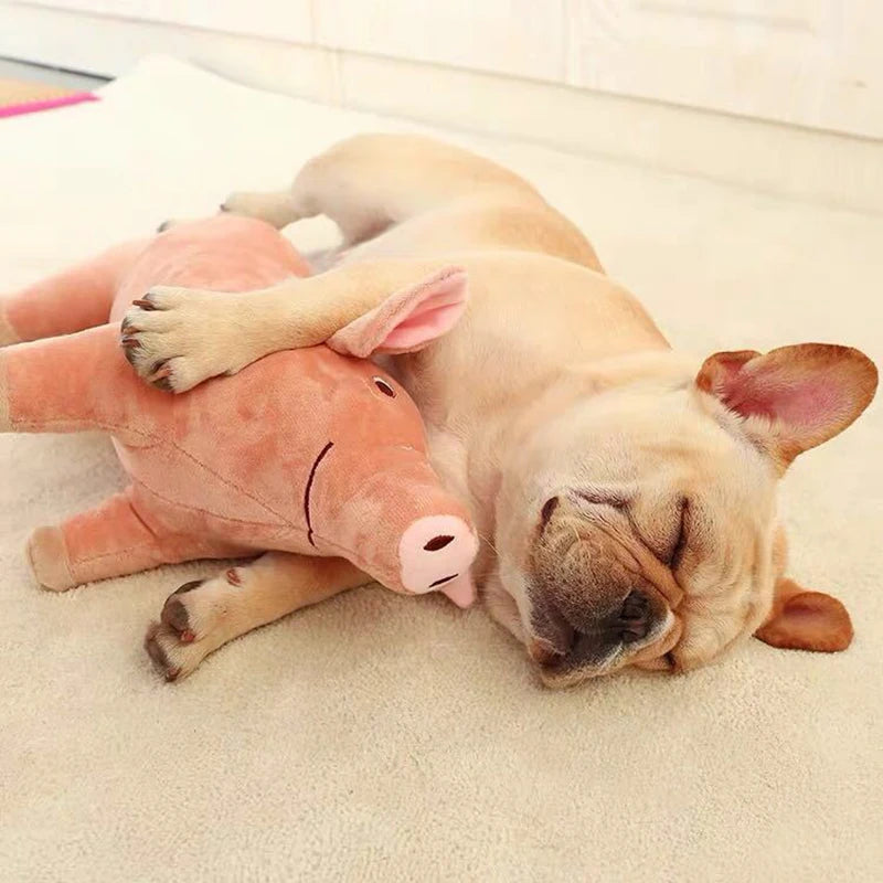 Pig plush toy