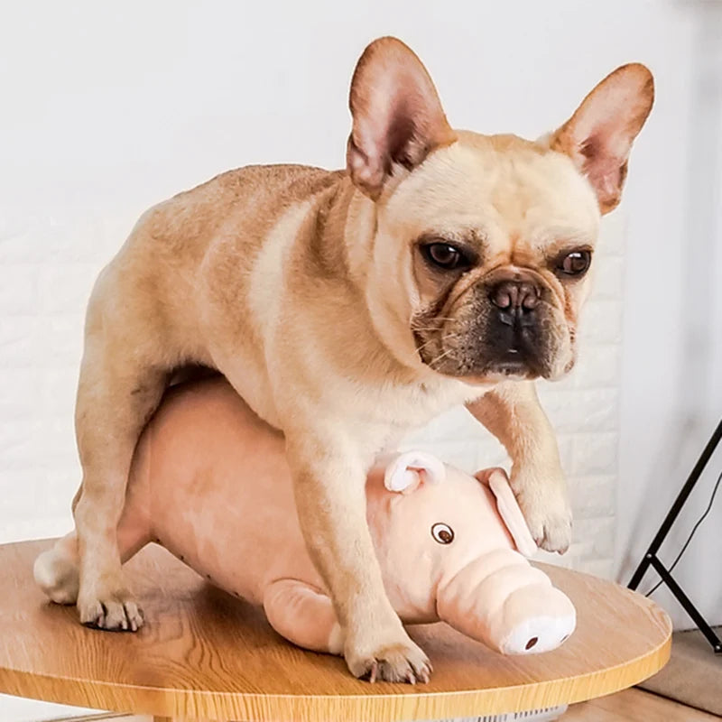 Pig plush toy