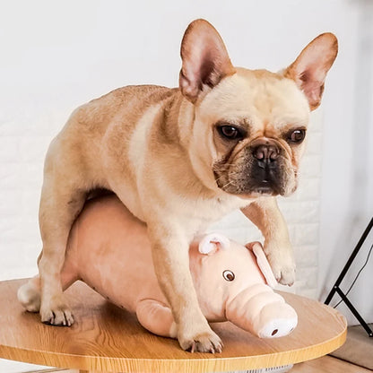 Pig plush toy