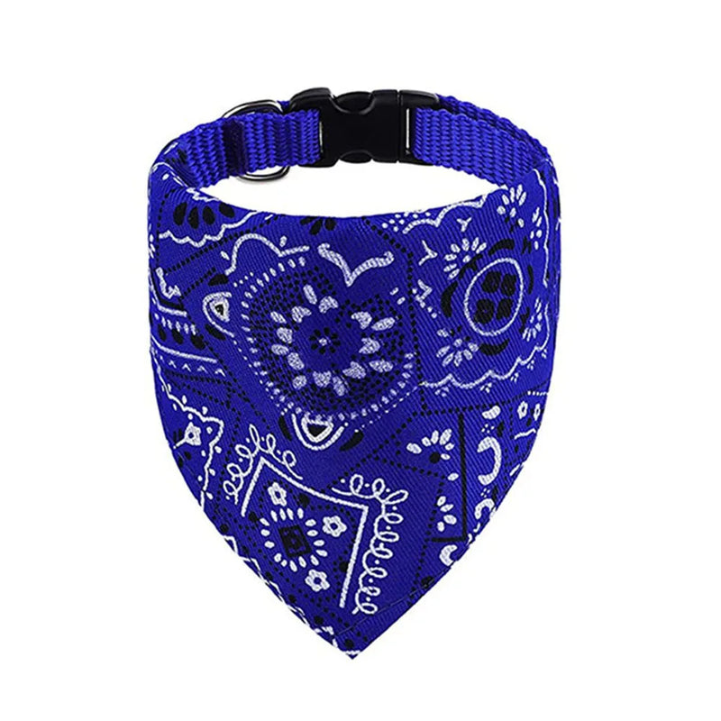 Cera scarf
