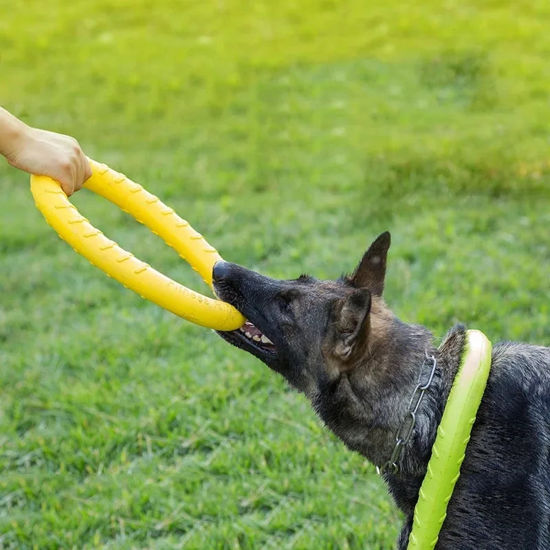 Bite Resistant Pet Chew Toy