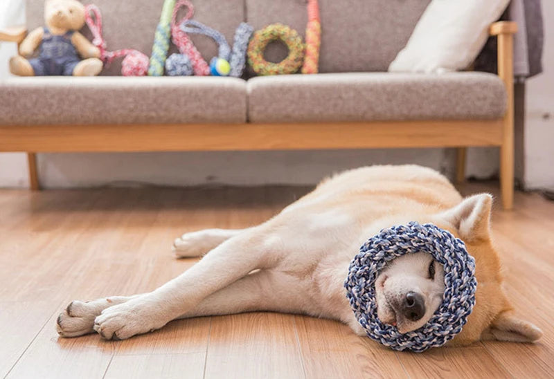 Round Rope Toy