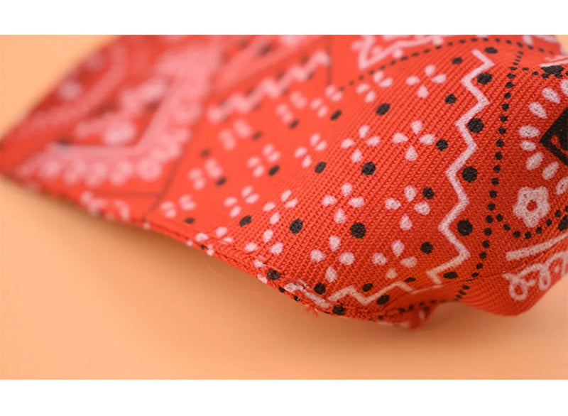 Cera scarf