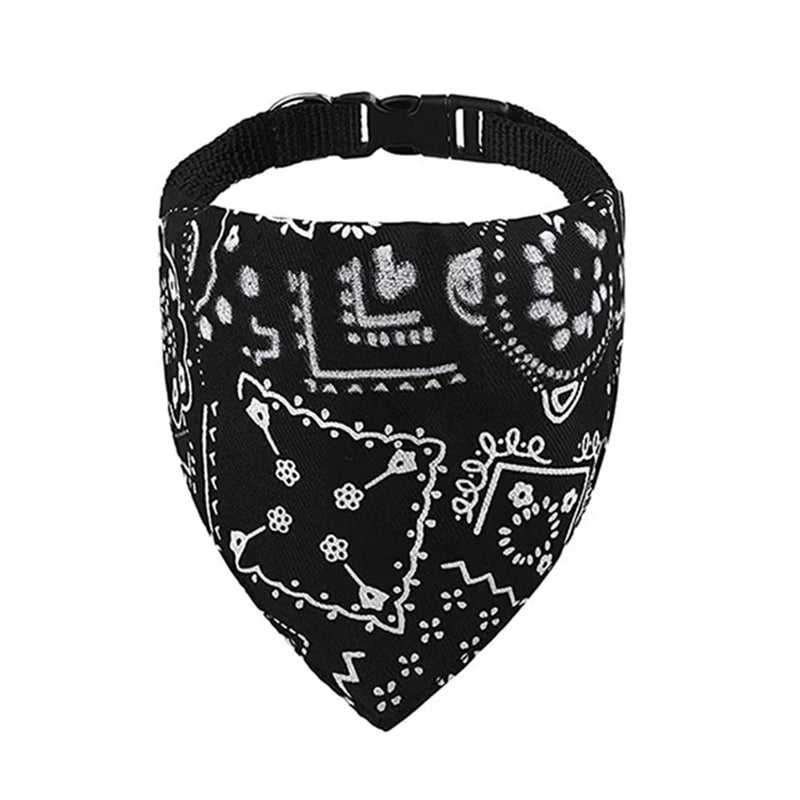 Cera scarf