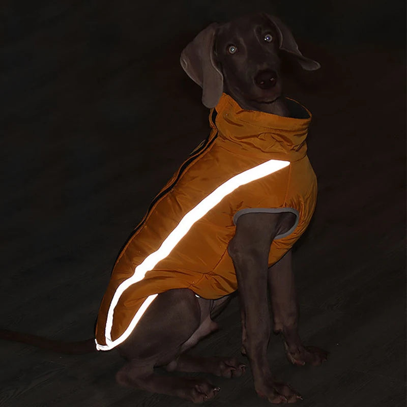 Reflective Jacket
