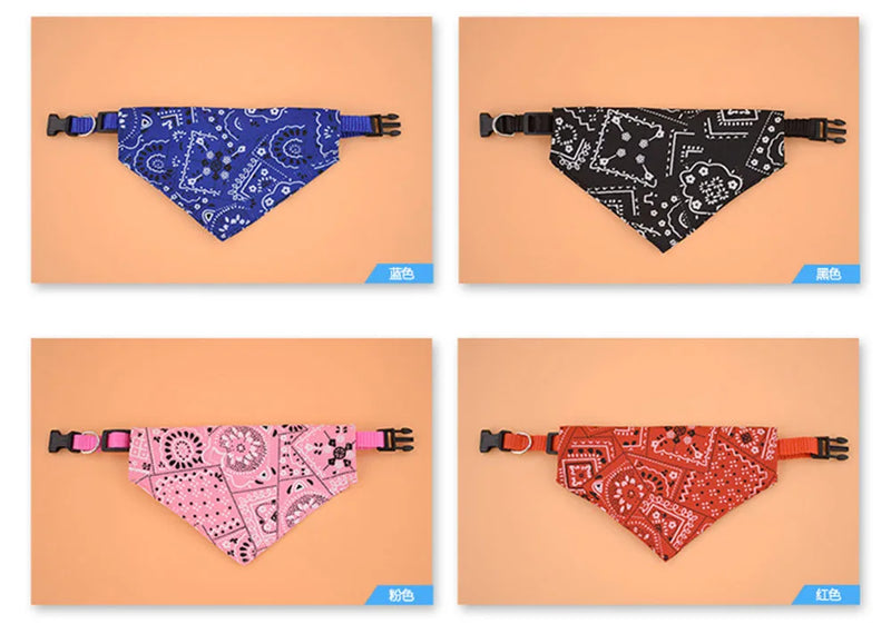 Cera scarf