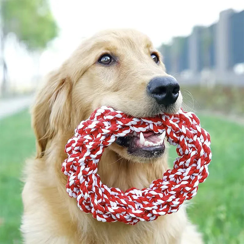 Round Rope Toy