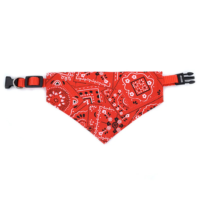 Cera scarf