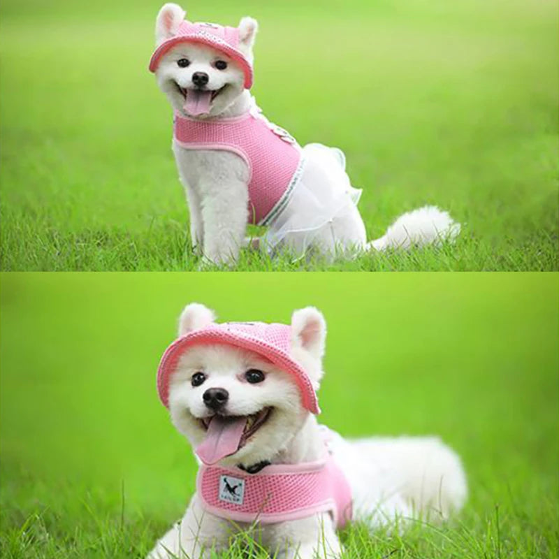 Summer hat