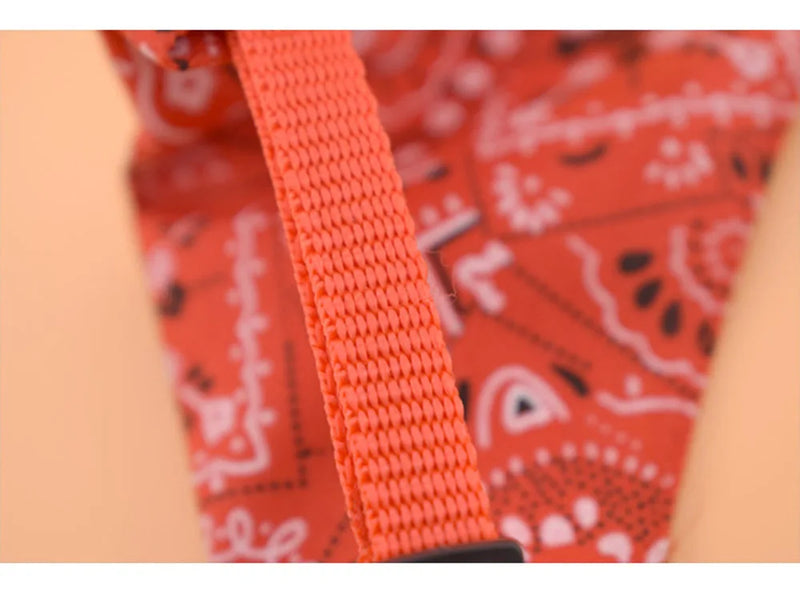 Cera scarf