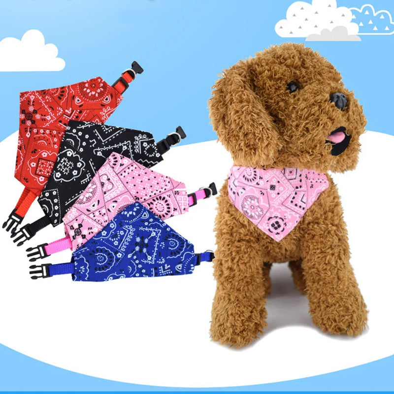 Cera scarf