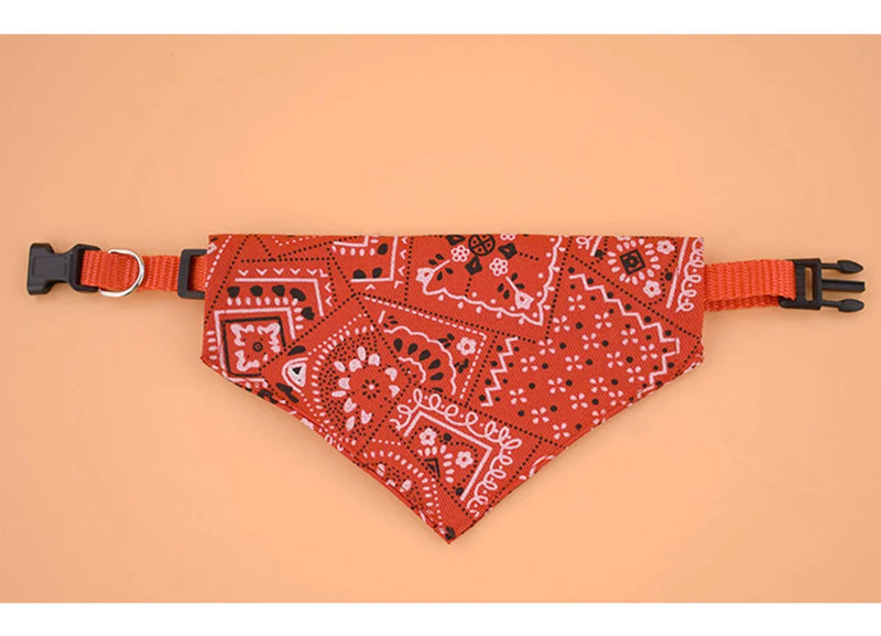 Cera scarf