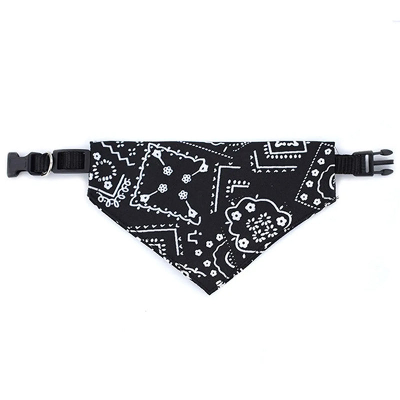 Cera scarf