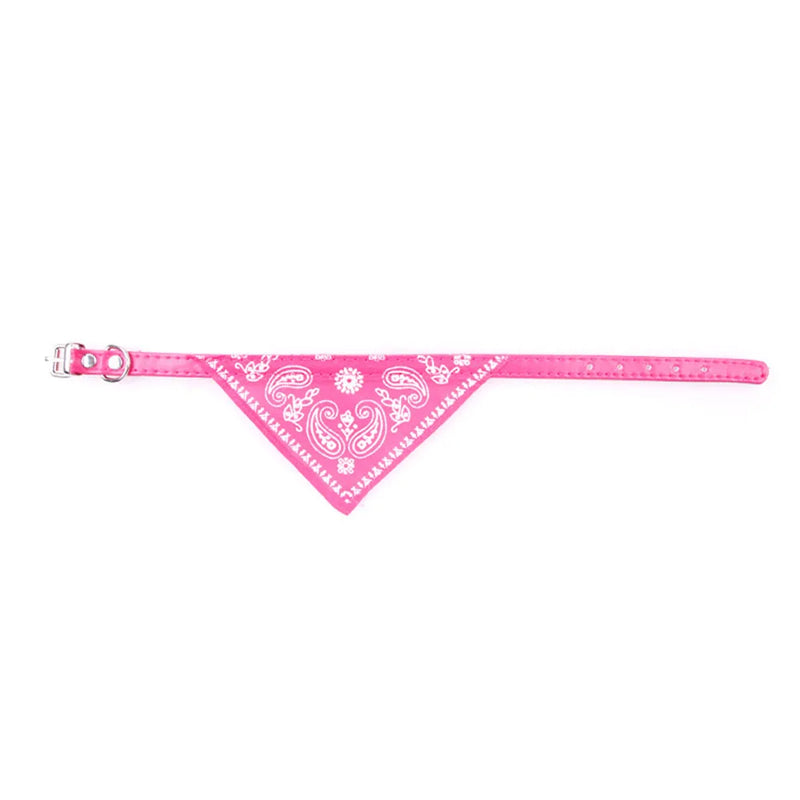 Cera scarf for cat