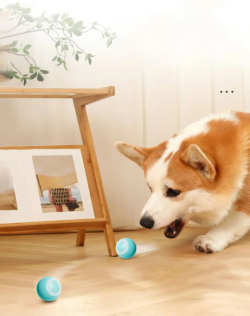 Smart toy