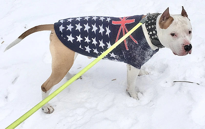 Classic Deer sweater