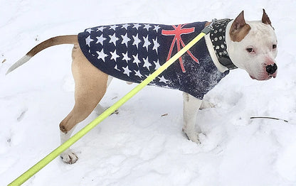 Classic Deer sweater