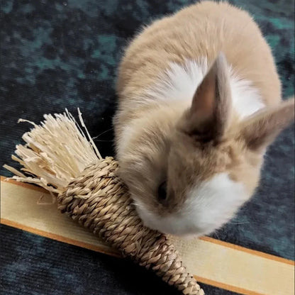 Rabbit toy