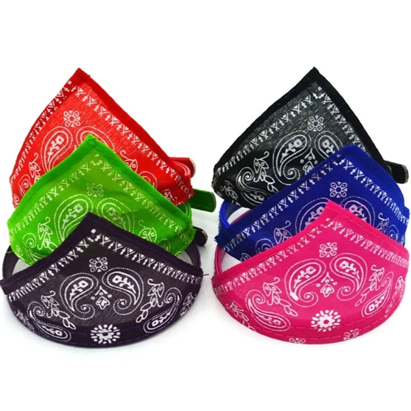 Cera scarf for cat