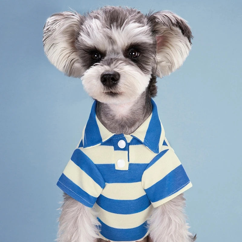 Polo shirt