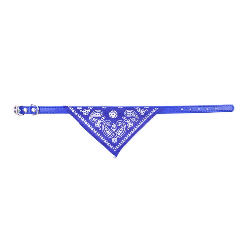 Cera scarf for cat