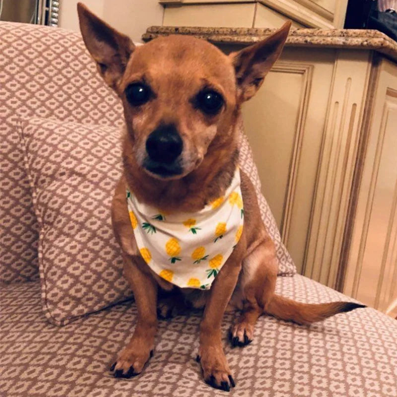 Swera Bandana