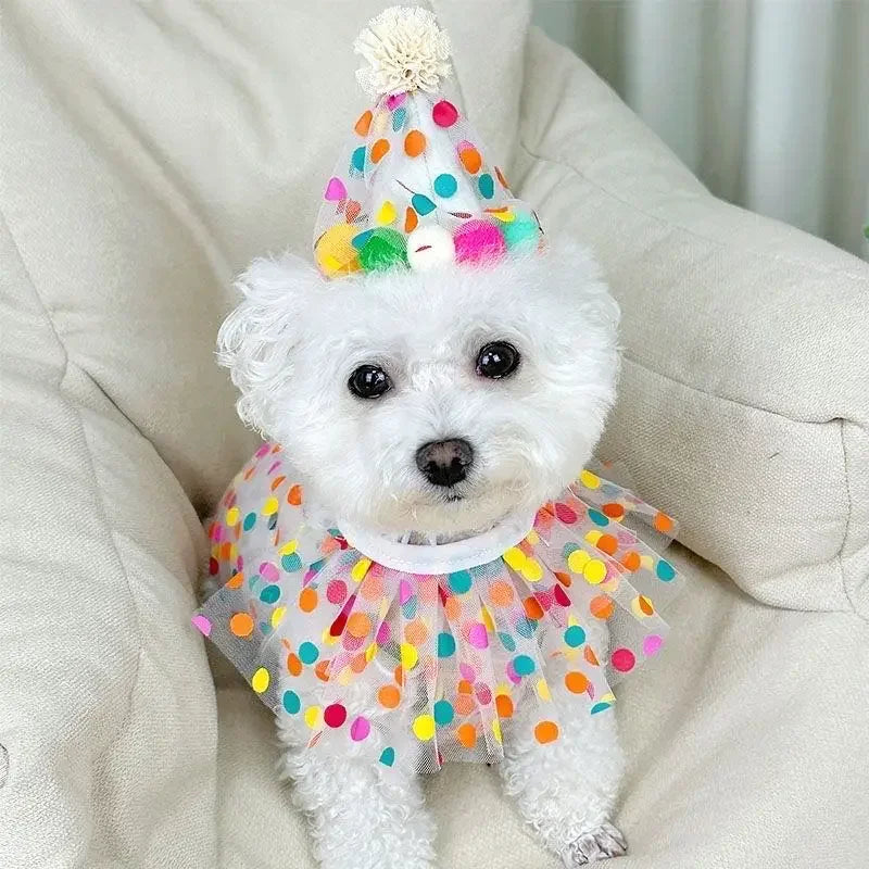 Party Hat