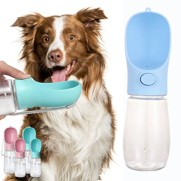 Water Bottle