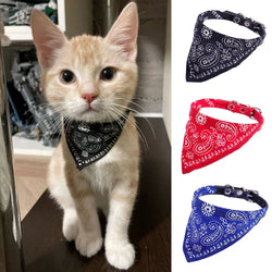 Cera scarf for cat