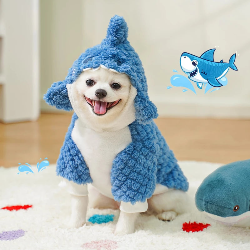 Shark coat