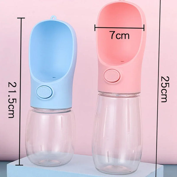 Water Bottle