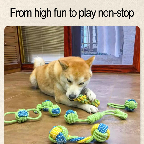 Joint Toy