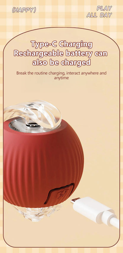 Toy ball (Clean teeth)