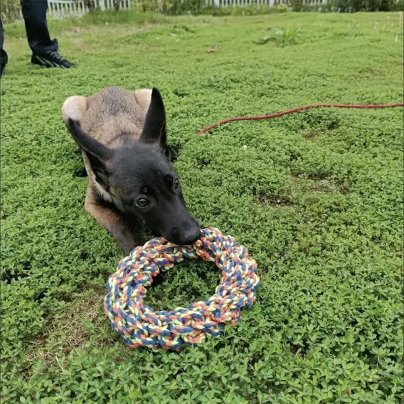 Round Rope Toy