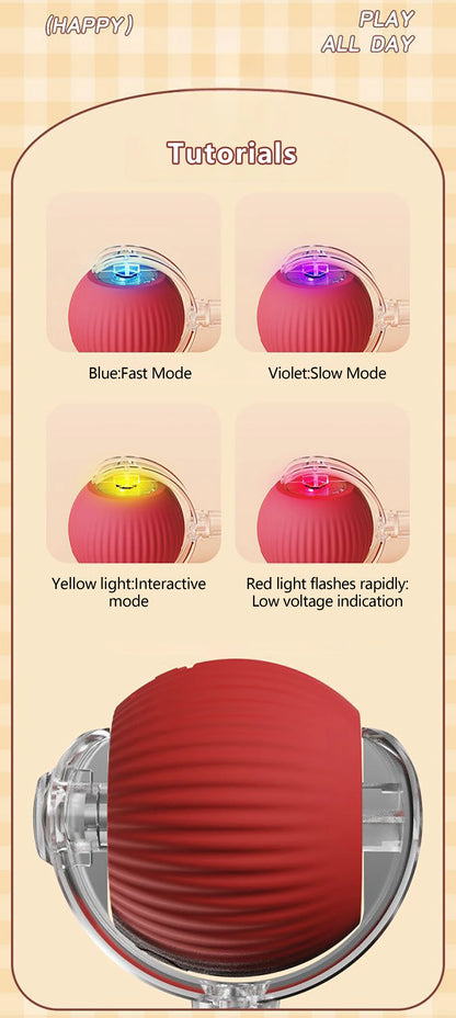 Toy ball (Clean teeth)